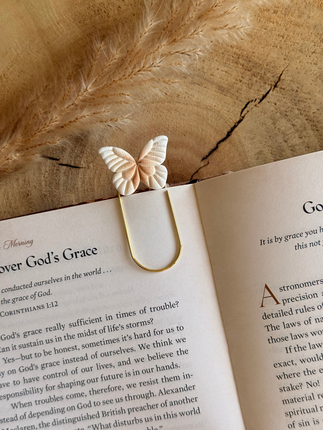 Butterfly Paperclip Bookmark