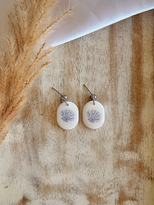 Blue Sea Shells