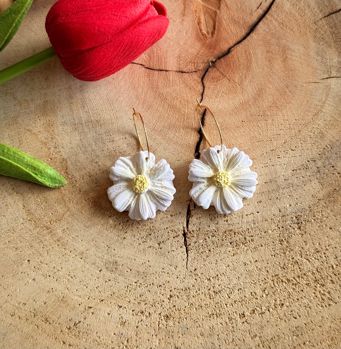 Summer Blooms